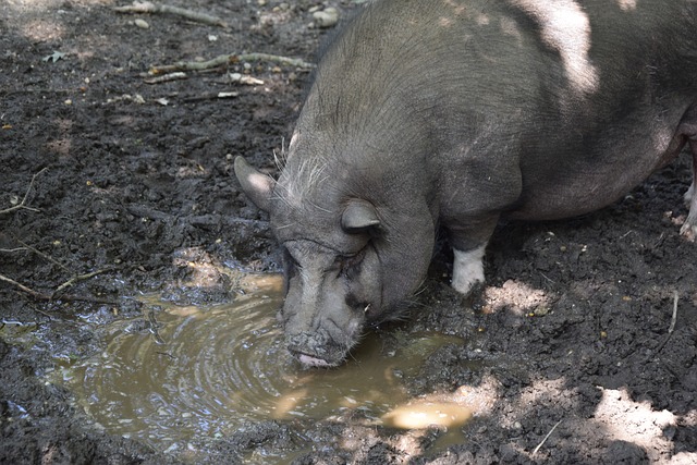 高素質的邊 高素質的邊