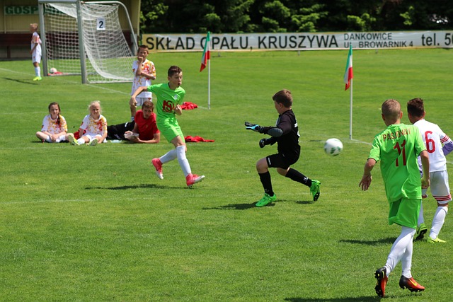 排名的变化 排名的变化