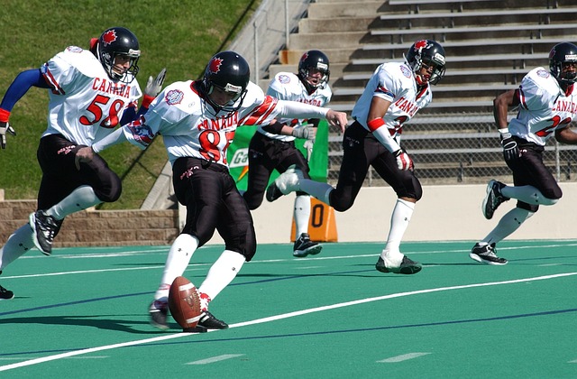 在乒乓球的 在乒乓球的