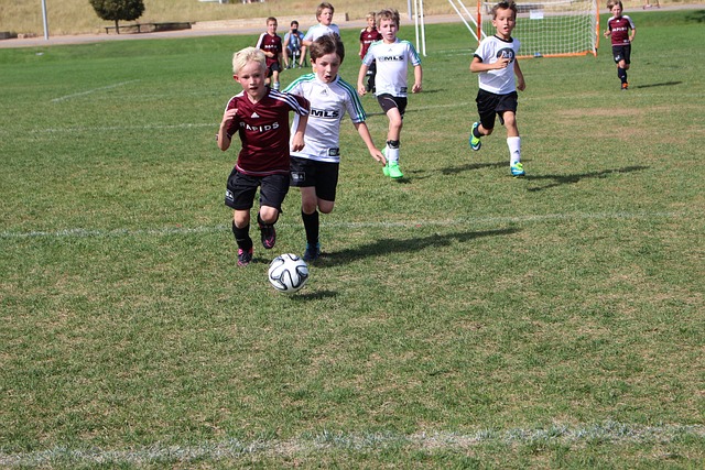 在赛事成绩 在赛事成绩